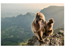 canvas-print-couple-on-the-edge-x