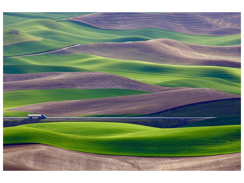 canvas-print-driving-in-the-wheat-field-at-palouse-x