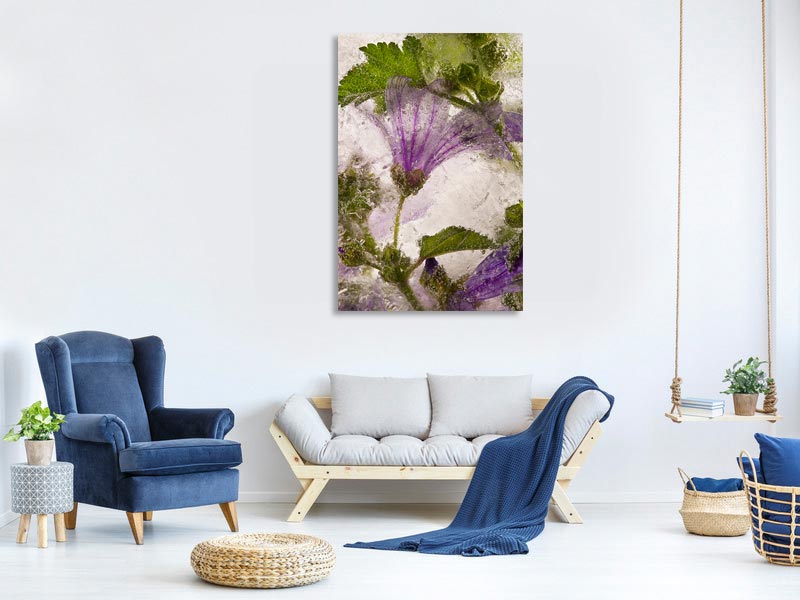 canvas-print-frozen-mallow-flower-x