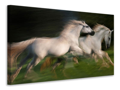 canvas-print-gallop-for-two
