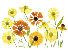 canvas-print-helenium-x