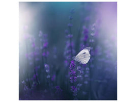 canvas-print-lavender-queen-xit