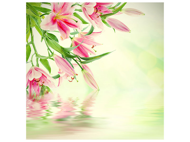 canvas-print-lilies-on-water