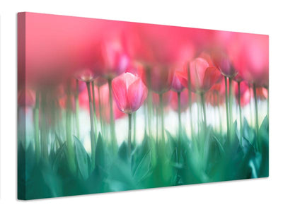 canvas-print-lined-tulips-x