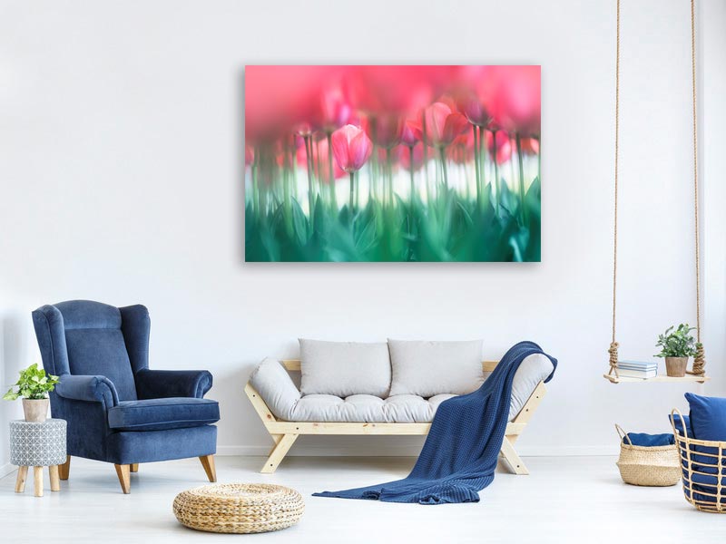 canvas-print-lined-tulips-x