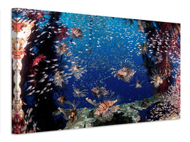 canvas-print-lionfish-party-x