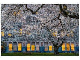 canvas-print-morning-at-university-of-washington-x