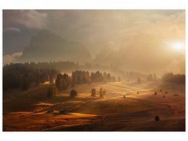 canvas-print-morning-on-alpine-meadow-x