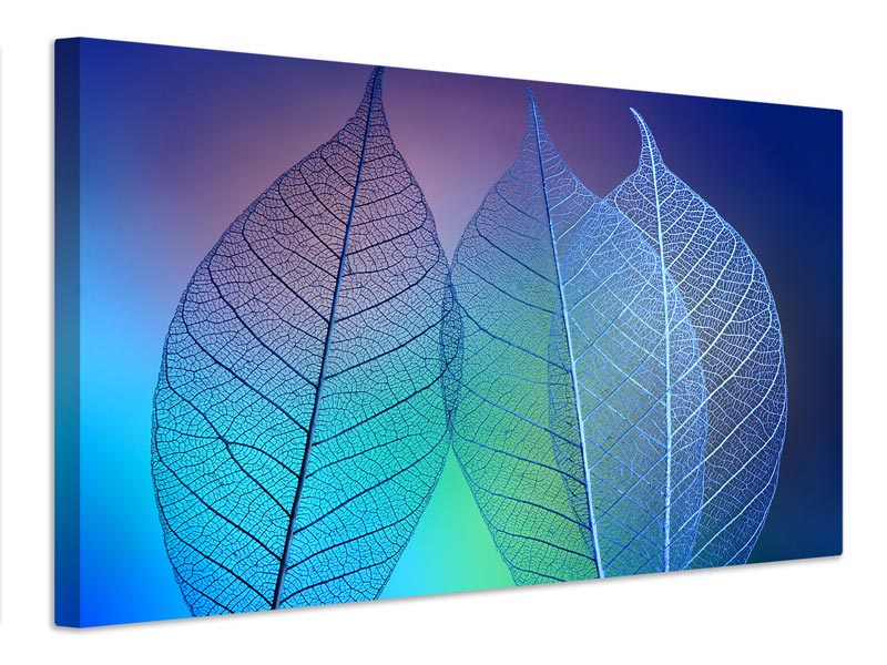 canvas-print-prismatic-leafs-x