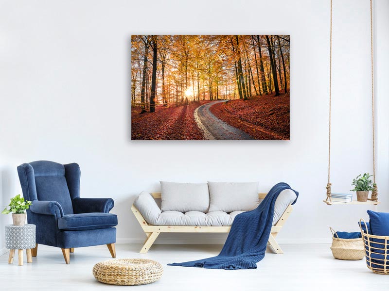 canvas-print-road-in-sapderaysen-nationalpark-sweden-x