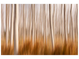 canvas-print-spring-impressions-in-a-poplar-fields-x