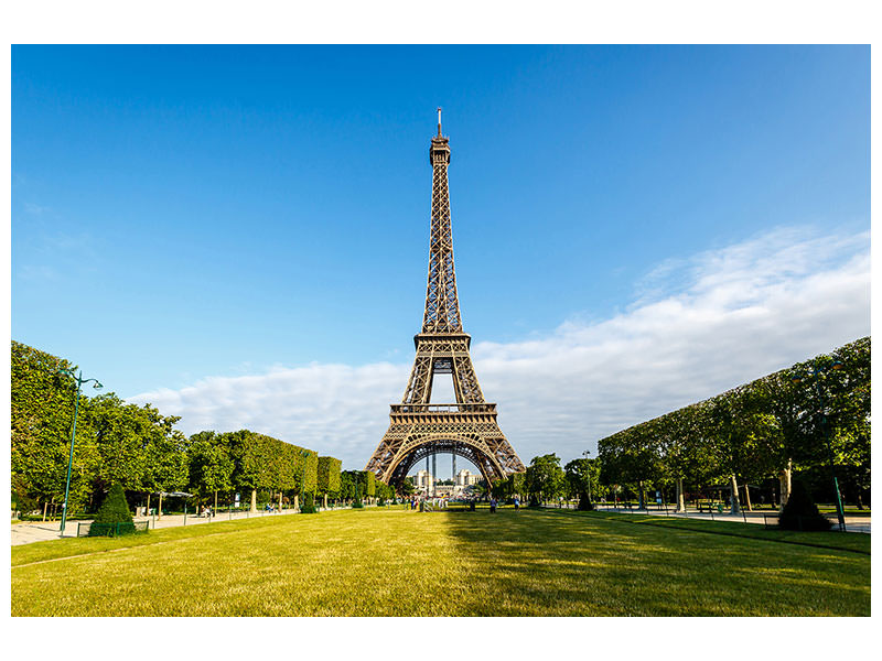 canvas-print-the-eiffel-tower-in-paris