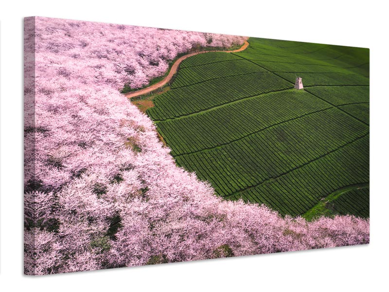 canvas-print-the-road-of-flower-x