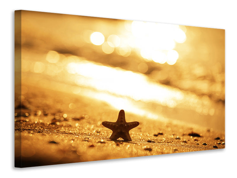 canvas-print-the-starfish