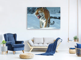 canvas-print-tiger-in-the-snow