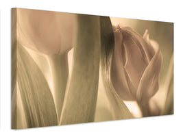 canvas-print-tulips-x