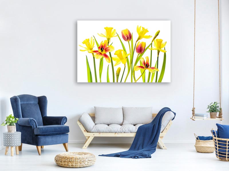 canvas-print-vibrant-spring-x