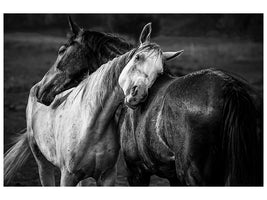 canvas-print-warm-rain-x