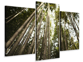 modern-3-piece-canvas-print-arashiyama-japan