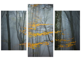 modern-3-piece-canvas-print-beech-forest-in-autumn