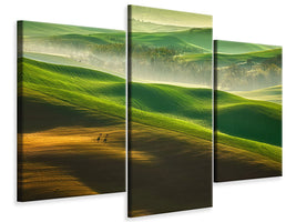 modern-3-piece-canvas-print-freedom-ii