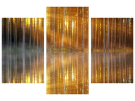 modern-3-piece-canvas-print-romantic-mood-in-the-forest