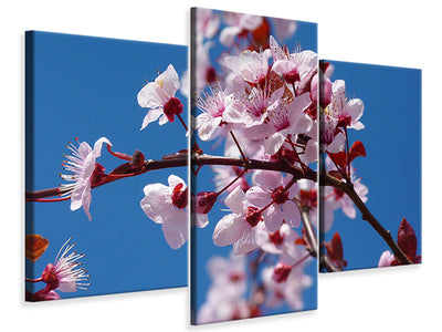 modern-3-piece-canvas-print-the-almond-blossom