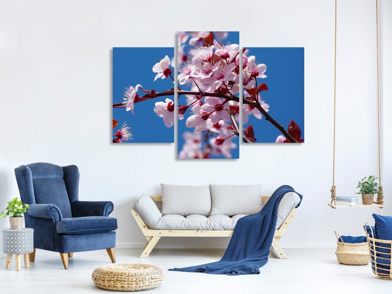 modern-3-piece-canvas-print-the-almond-blossom