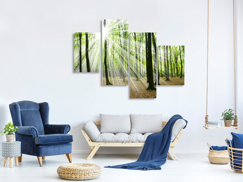 modern-4-piece-canvas-print-magic-light-in-the-trees