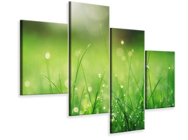 modern-4-piece-canvas-print-meadow-with-morning-dew