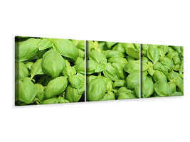 panoramic-3-piece-canvas-print-all-basil