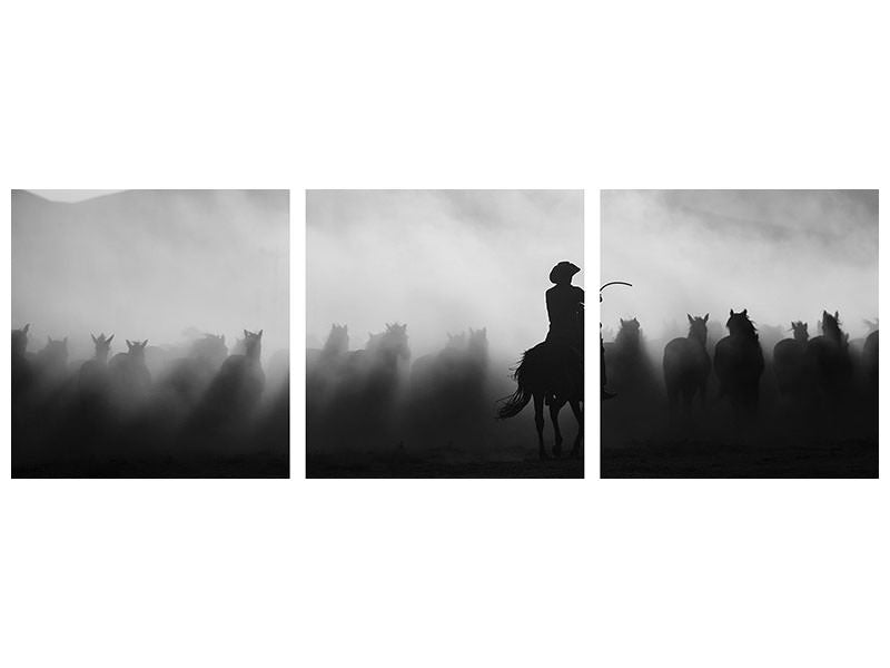 panoramic-3-piece-canvas-print-chasing-the-jades