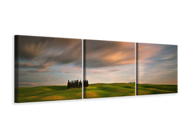 panoramic-3-piece-canvas-print-fields