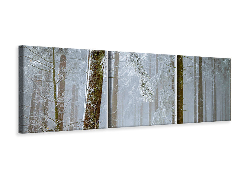 panoramic-3-piece-canvas-print-forest-in-winter