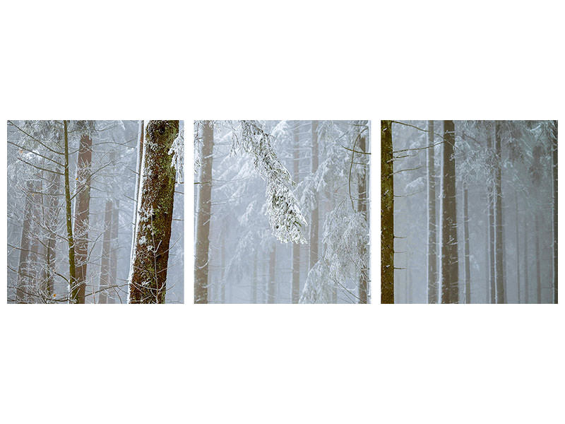 panoramic-3-piece-canvas-print-forest-in-winter