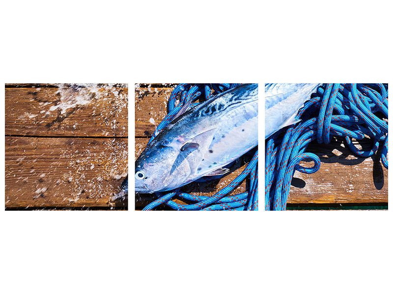 panoramic-3-piece-canvas-print-freshly-caught-fish