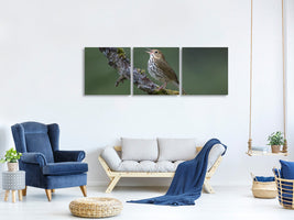 panoramic-3-piece-canvas-print-in-the-forest-p