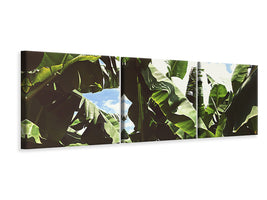 panoramic-3-piece-canvas-print-in-the-middle-of-the-jungle