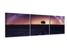 panoramic-3-piece-canvas-print-my-lavander