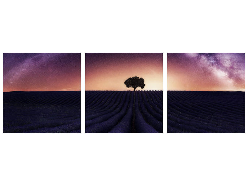 panoramic-3-piece-canvas-print-my-lavander