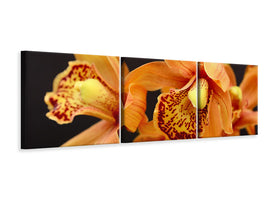 panoramic-3-piece-canvas-print-orchids-with-orange-flowers