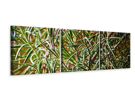 panoramic-3-piece-canvas-print-rosemary-xxl