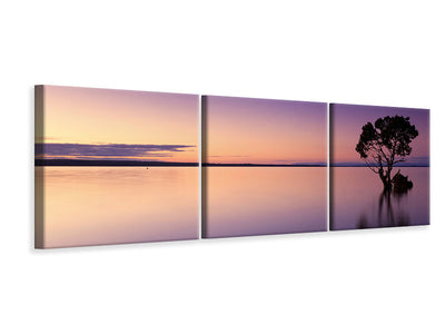 panoramic-3-piece-canvas-print-sunset-on-the-tree-in-the-water