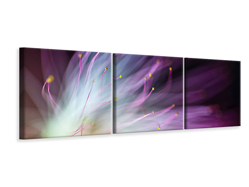 panoramic-3-piece-canvas-print-the-will-o-the-wisp