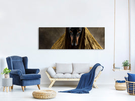 panoramic-canvas-print-golden-eyes-a