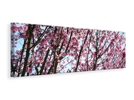 panoramic-canvas-print-japanese-cherry-blossom