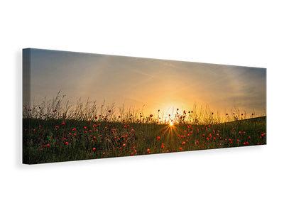 panoramic-canvas-print-red-poppies-and-sunrise