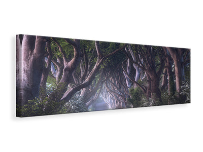 panoramic-canvas-print-the-dark-hedges