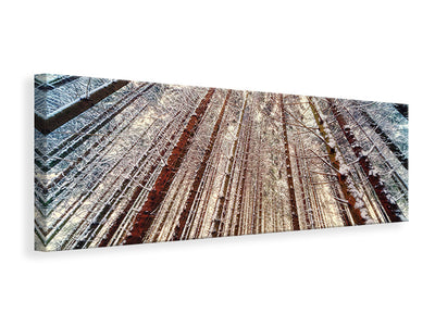 panoramic-canvas-print-trees-in-the-snow