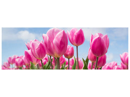 panoramic-canvas-print-tulip-field-in-pink